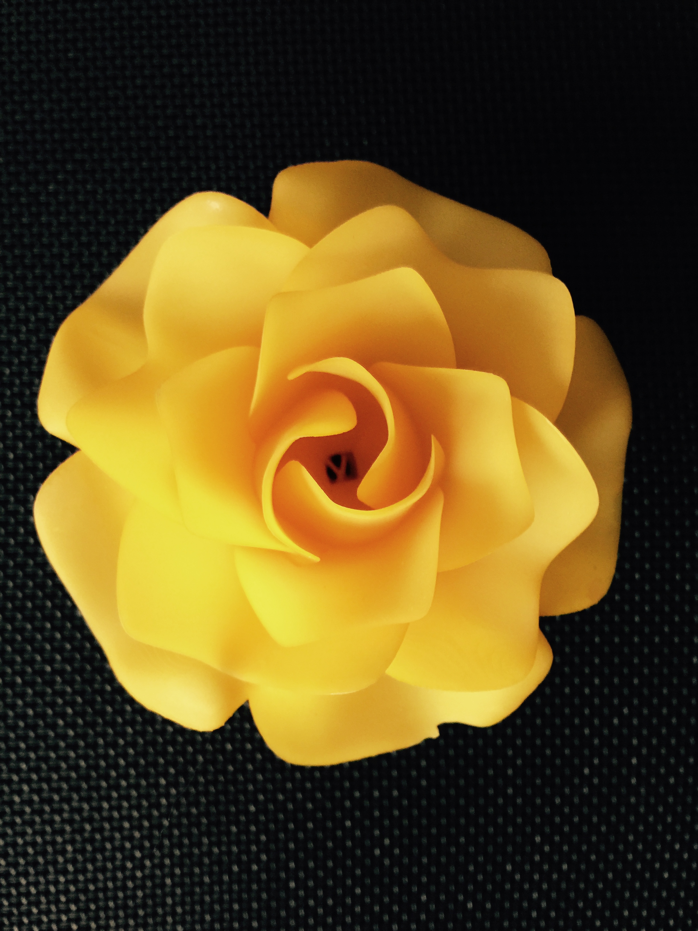 禿頭終結者：用3D打印機制作假發